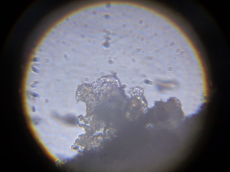 File:DSC00035.JPG
