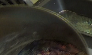 00056.MTS crop.png