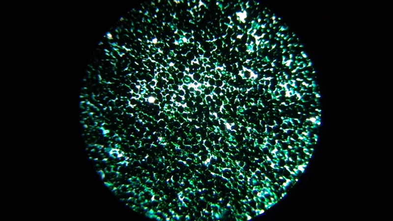 File:Film2.png
