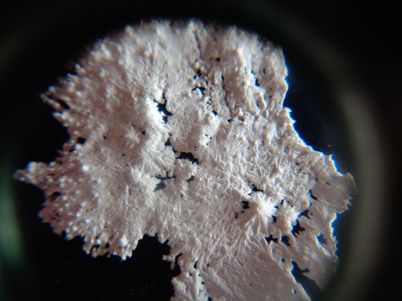 File:DSC00055.JPG